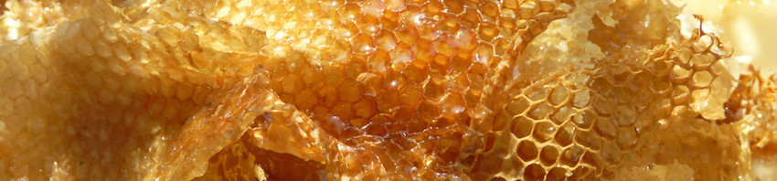 Revisa algunos beneficios de la miel de abejas