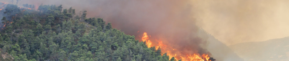 Conoce algunas recomendaciones para prevenir incendios forestales