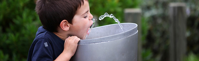 Cómo saber si estás tomando la cantidad apropiada de agua y aprovechar bien este recurso