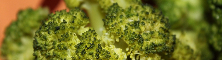 Los beneficios del brócoli para la salud