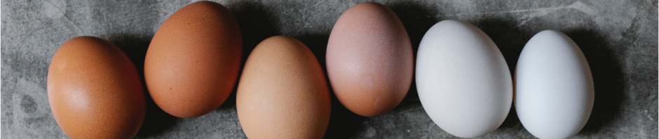 Saludable y lleno de nutrientes: los numerosos beneficios de incluir huevos en la dieta